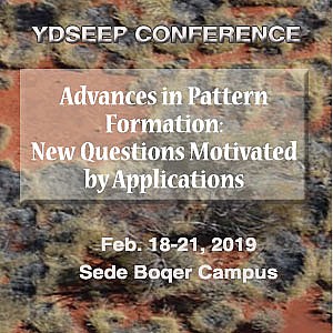 Advances in Pattern Formation
