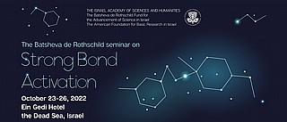 The Batsheva de Rothschild Seminar on Strong Bond Activation